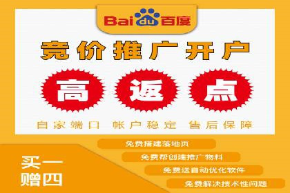 百度竞价排名策略优化：某公司广告投放效果翻倍的秘诀