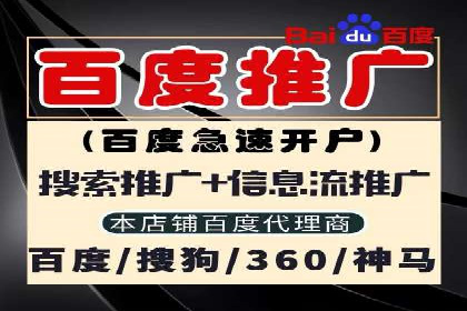 案例研究：SEM开户助力电商快速崛起